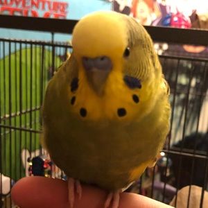 Meet your Posher, Claire